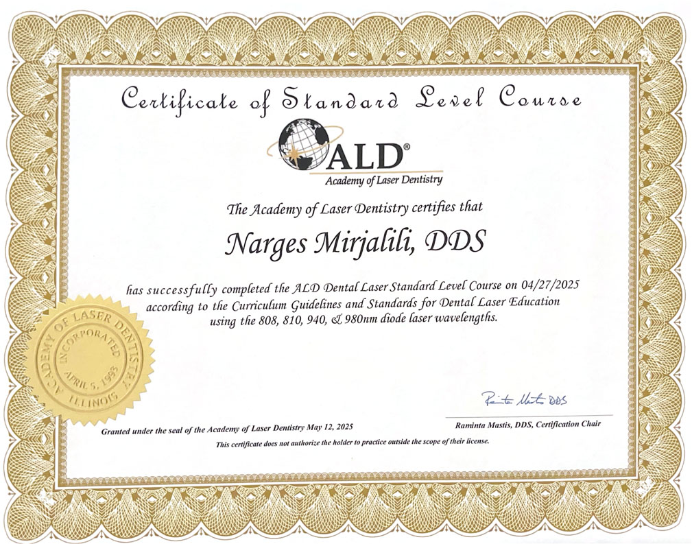 html head title 500 Internal Server Error title head body center h1 500 Internal Server Error h1 center hr center nginx 1.29.3 center body html